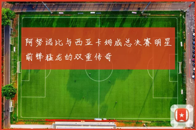 阿努诺比与西亚卡姆成总决赛明星前锋猛龙的双重传奇