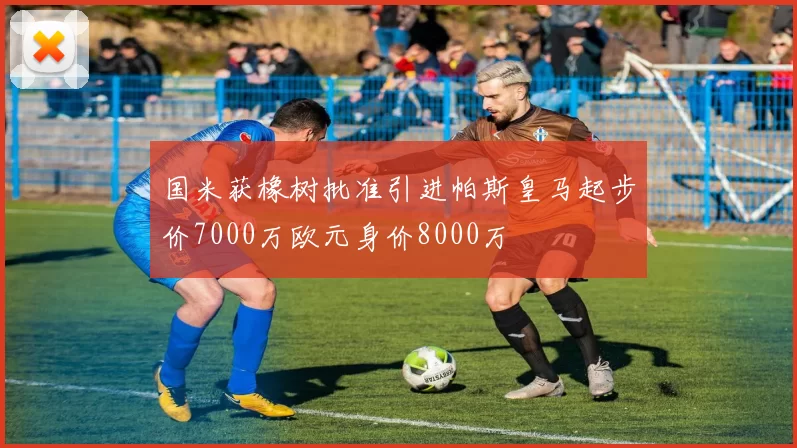 国米获橡树批准引进帕斯皇马起步价7000万欧元身价8000万